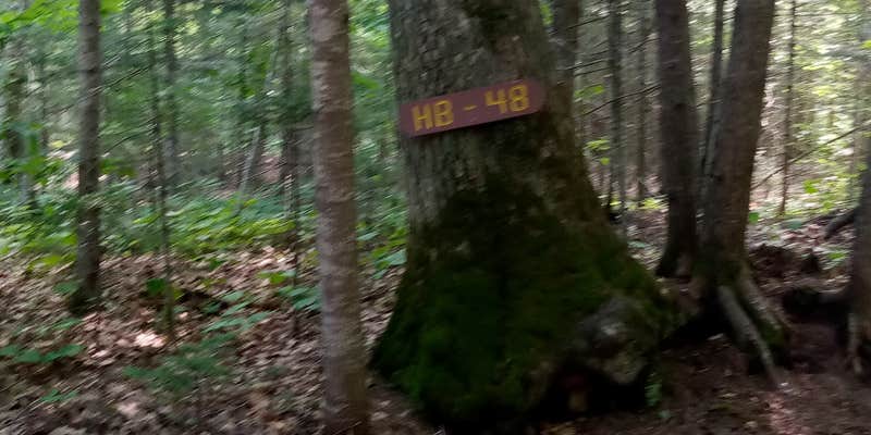 Camper submitted image from Papoose Pond Family Campground and Cabins