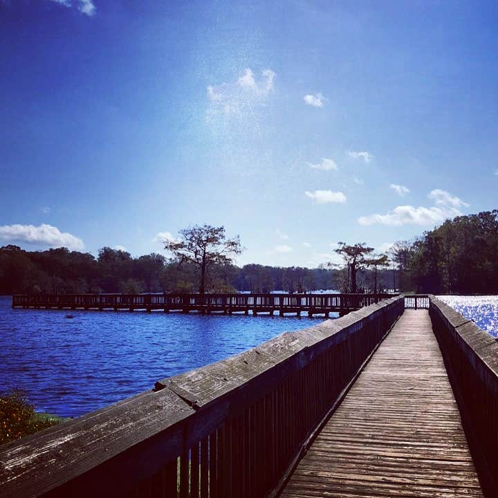 Camper-submitted photo at South Campground — Chicot State Park in Louisiana