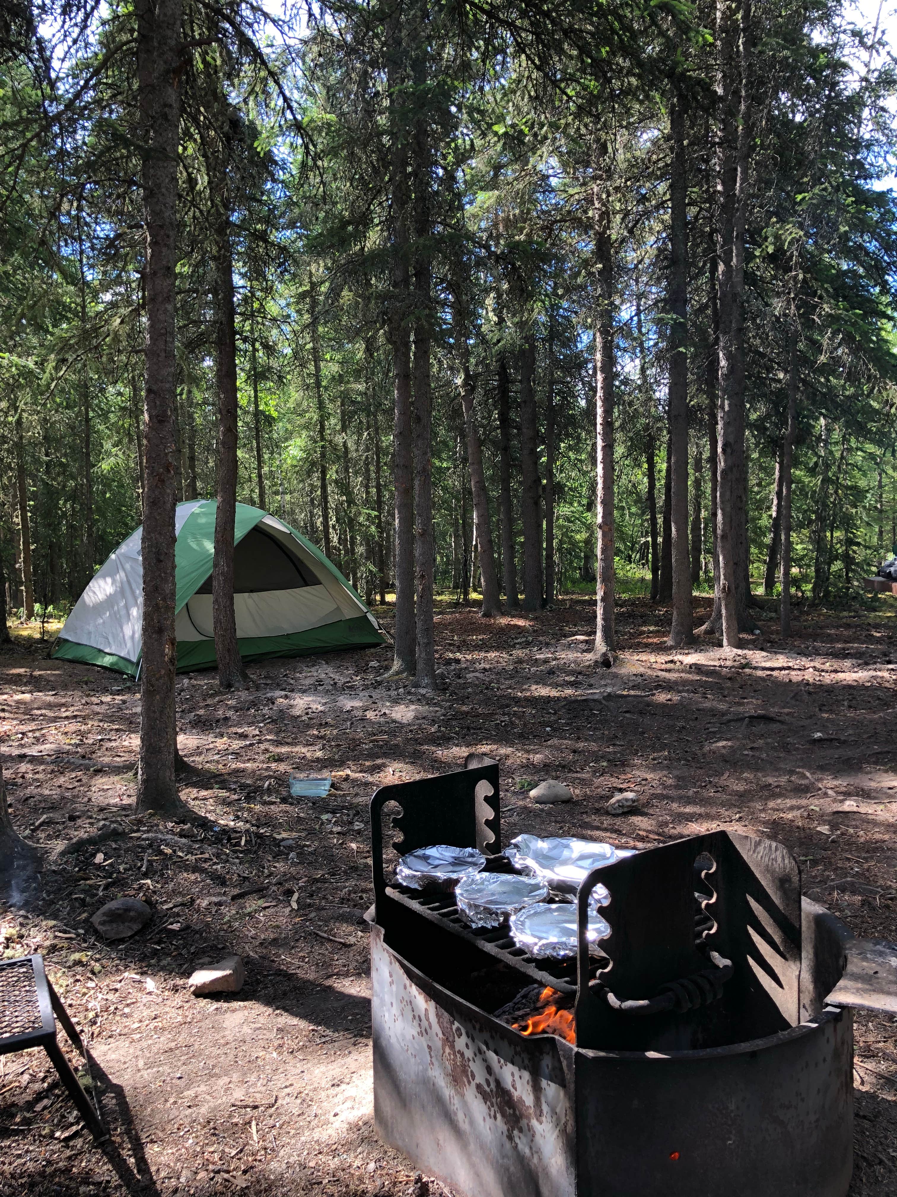 anna C.'s photo at River Park Campground near Salcha, AK