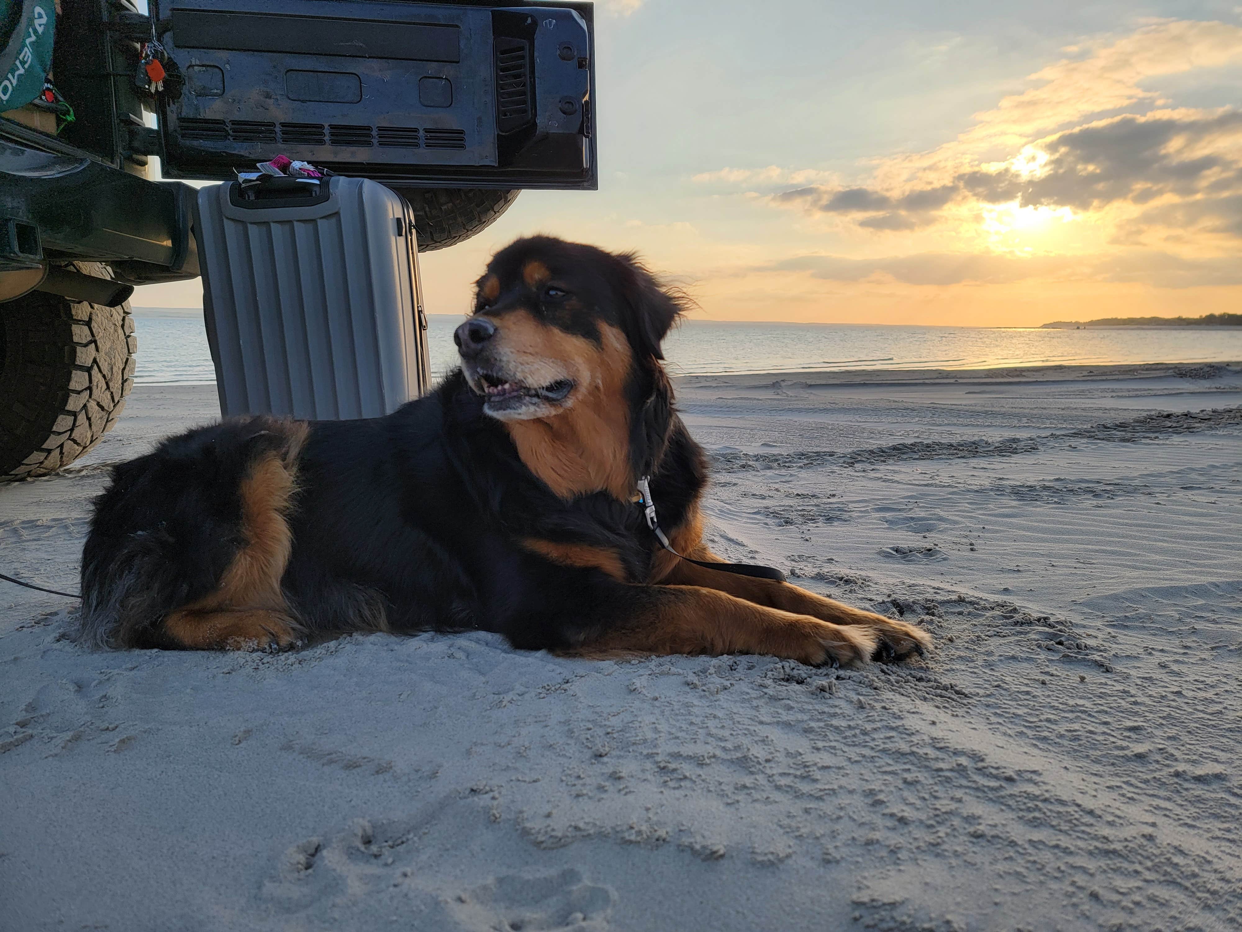 Claire W.'s photo of camping with pets at Martin Bay Campground — Lake McConaughy SRA near Ogallala, NE