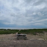 Review photo of Horseneck Beach State Reservation by Happy Camper L., August 29, 2021