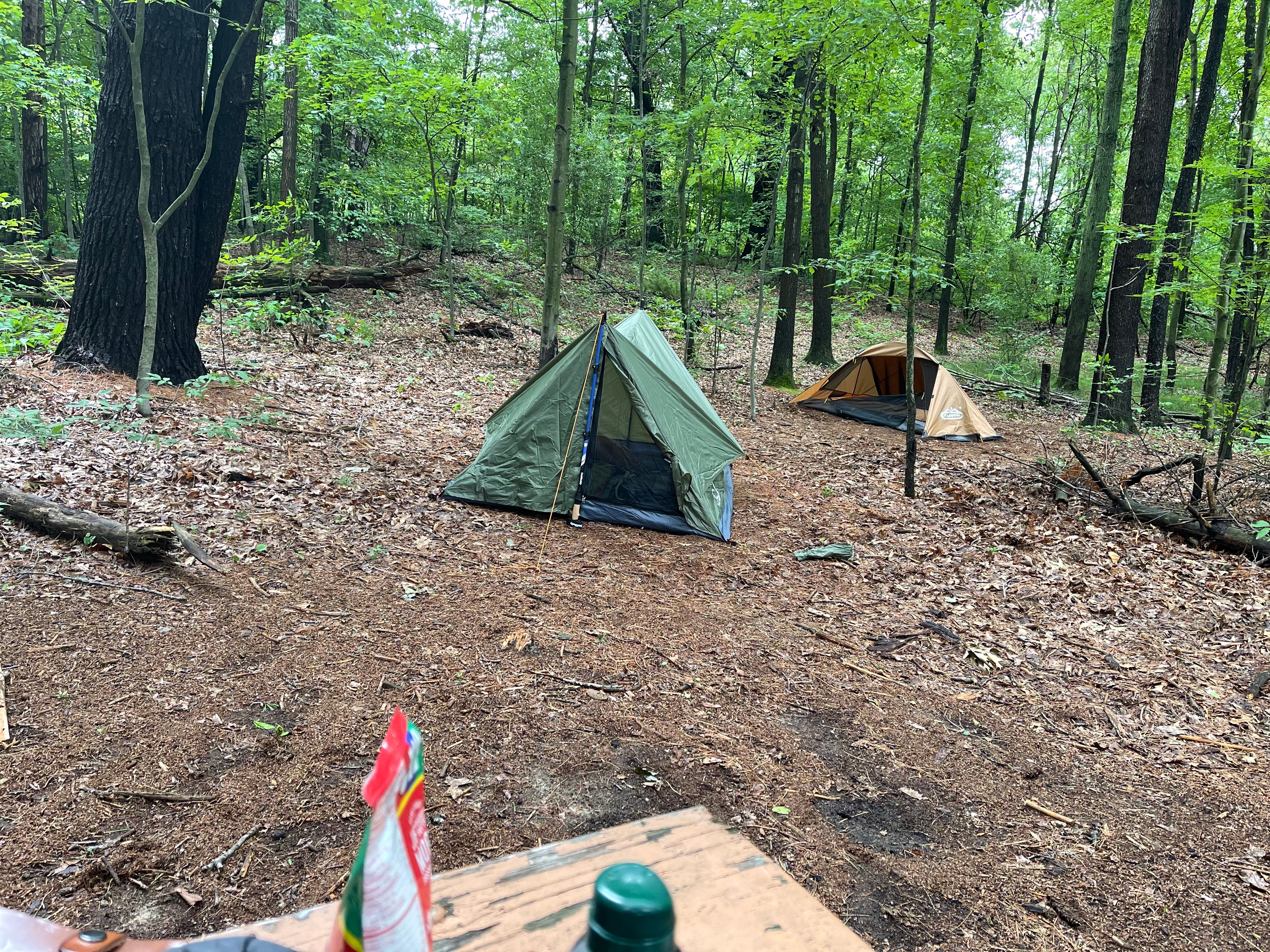 Camper submitted image from The Pines Rustic Campground — Waterloo Recreation Area - 3
