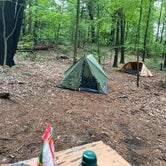 Review photo of The Pines Rustic Campground — Waterloo Recreation Area by Jason H., August 29, 2021