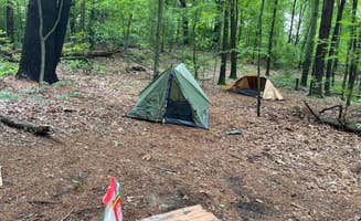 Jason H.'s photo at The Pines Rustic Campground — Waterloo Recreation Area near Jerome, MI