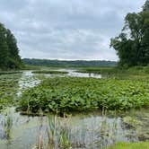 Review photo of The Pines Rustic Campground — Waterloo Recreation Area by Jason H., August 29, 2021