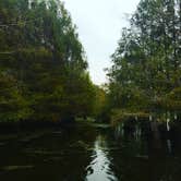 Review photo of South Campground — Chicot State Park by Andrea F., July 19, 2016