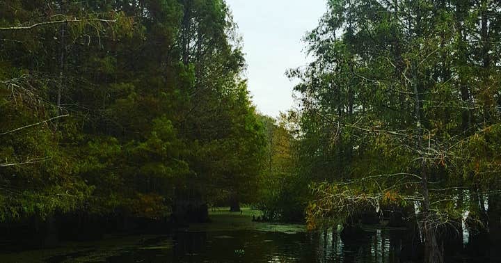 South Campground — Chicot State Park