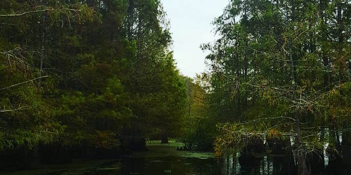 Camper submitted image from South Campground — Chicot State Park