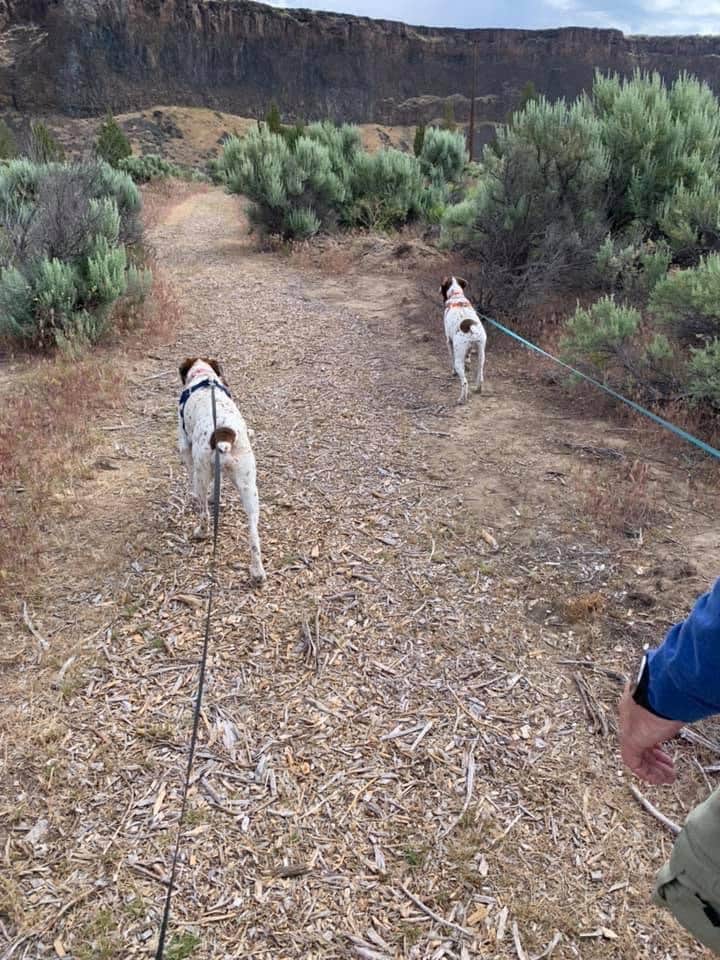 MickandKarla W.'s photo of camping with pets at Crooked River Ranch near Madras, OR