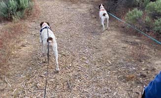 MickandKarla W.'s photo of camping with pets at Crooked River Ranch near Madras, OR