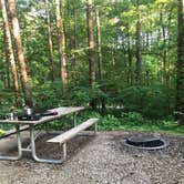 Review photo of Saddle Lake Campground — Hoosier National Forest by Sam M., August 29, 2021