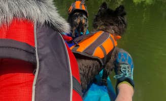 Shelly S.'s photo of camping with pets at Duck Bay Campground near Paducah, KY