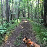 Review photo of Lake Gogebic State Park Campground by Art S., August 29, 2021