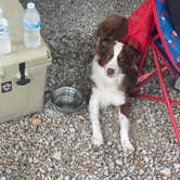 Review photo of Moxley Branch Campground — Beech Fork State Park by John , August 29, 2021