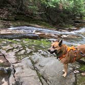 Review photo of Union River Rustic Outpost Camp — Porcupine Mountains Wilderness State Park by Art S., August 29, 2021