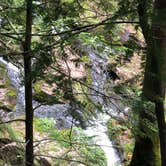 Review photo of Union River Rustic Outpost Camp — Porcupine Mountains Wilderness State Park by Art S., August 29, 2021