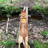 Review photo of Union River Rustic Outpost Camp — Porcupine Mountains Wilderness State Park by Art S., August 29, 2021