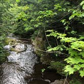 Review photo of Union River Rustic Outpost Camp — Porcupine Mountains Wilderness State Park by Art S., August 29, 2021