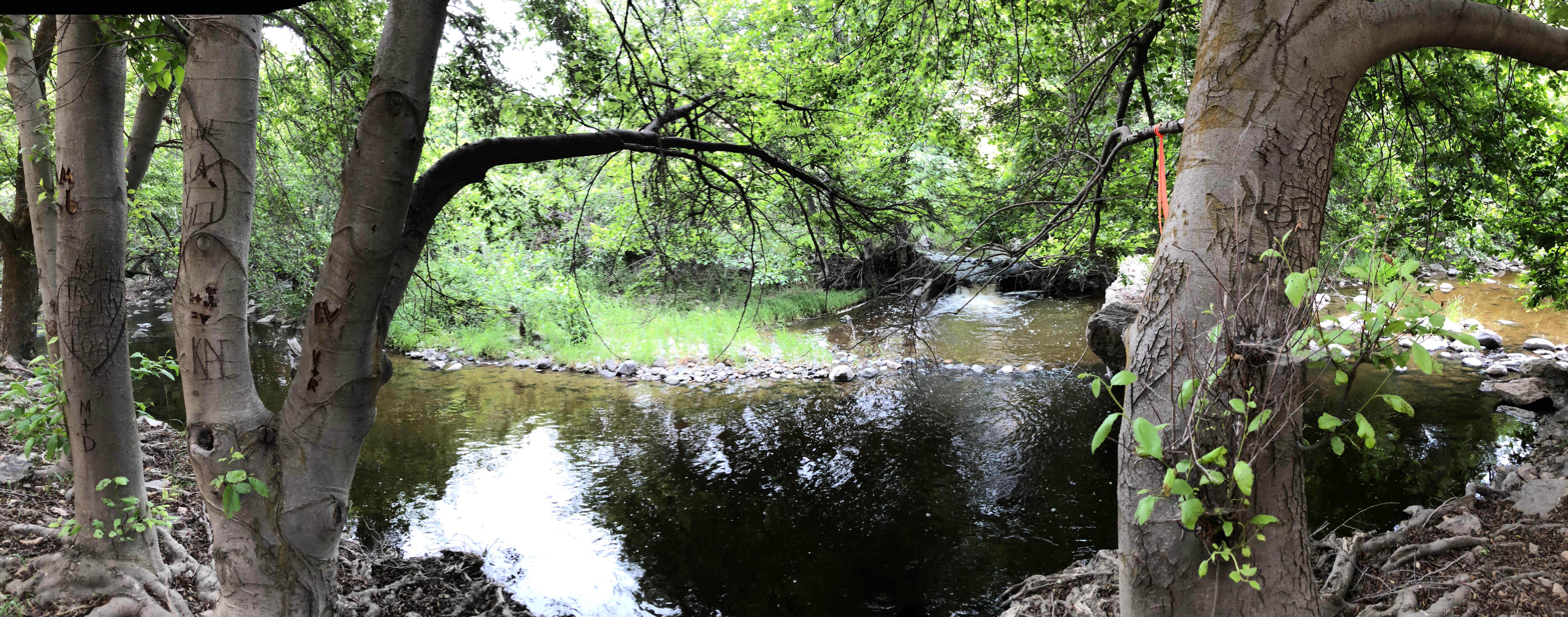 Camper submitted image from Succor Creek State Natural Area - 3