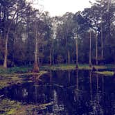 Review photo of South Campground — Chicot State Park by Andrea F., July 19, 2016