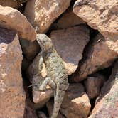 Review photo of Succor Creek State Natural Area by Brad M., June 21, 2018
