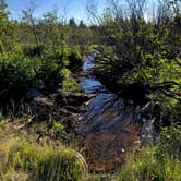 Review photo of Brushy Ridge Road Dispersed by Kelly G., August 29, 2021