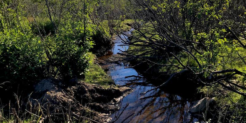 Camper submitted image from Brushy Ridge Road Dispersed