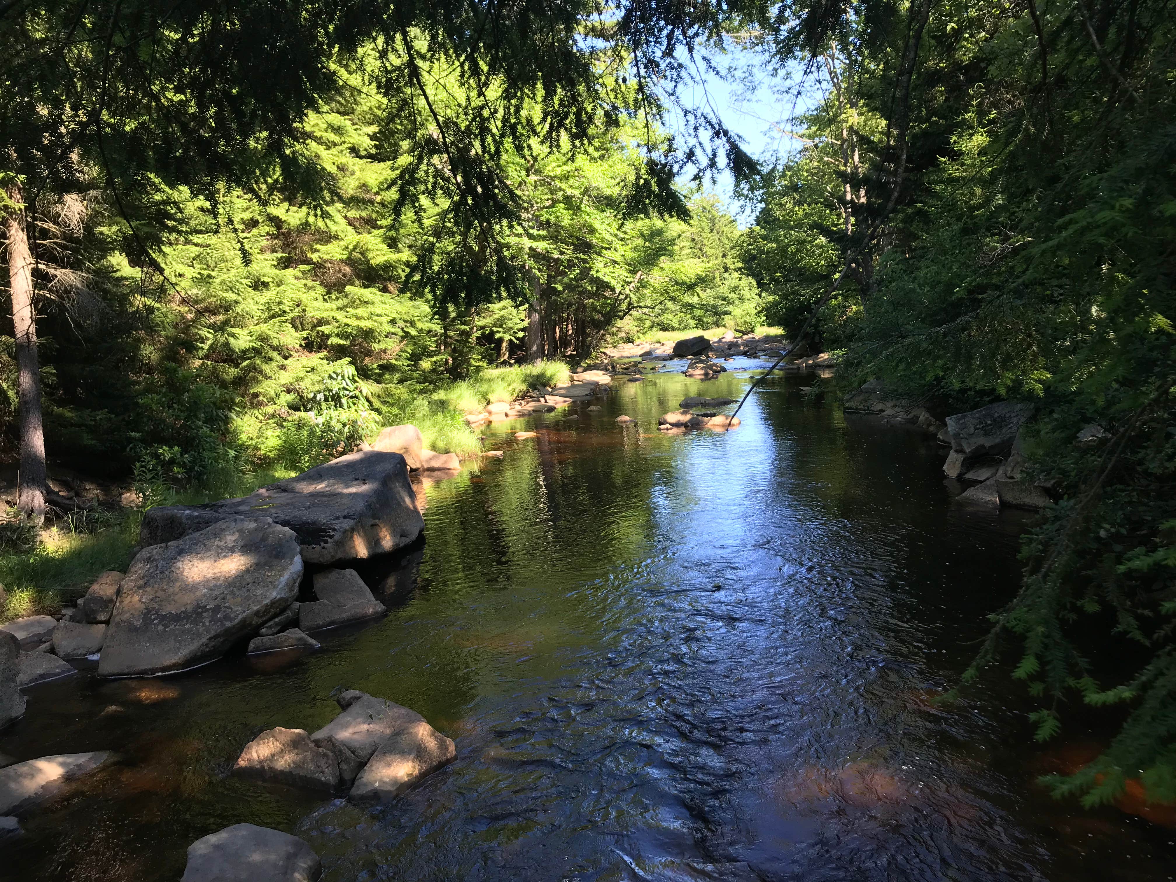 Camper-submitted photo at Brushy Ridge Road Dispersed near Masontown, WV