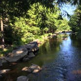 Review photo of Brushy Ridge Road Dispersed by Kelly G., August 29, 2021