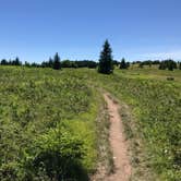 Review photo of Brushy Ridge Road Dispersed by Kelly G., August 29, 2021