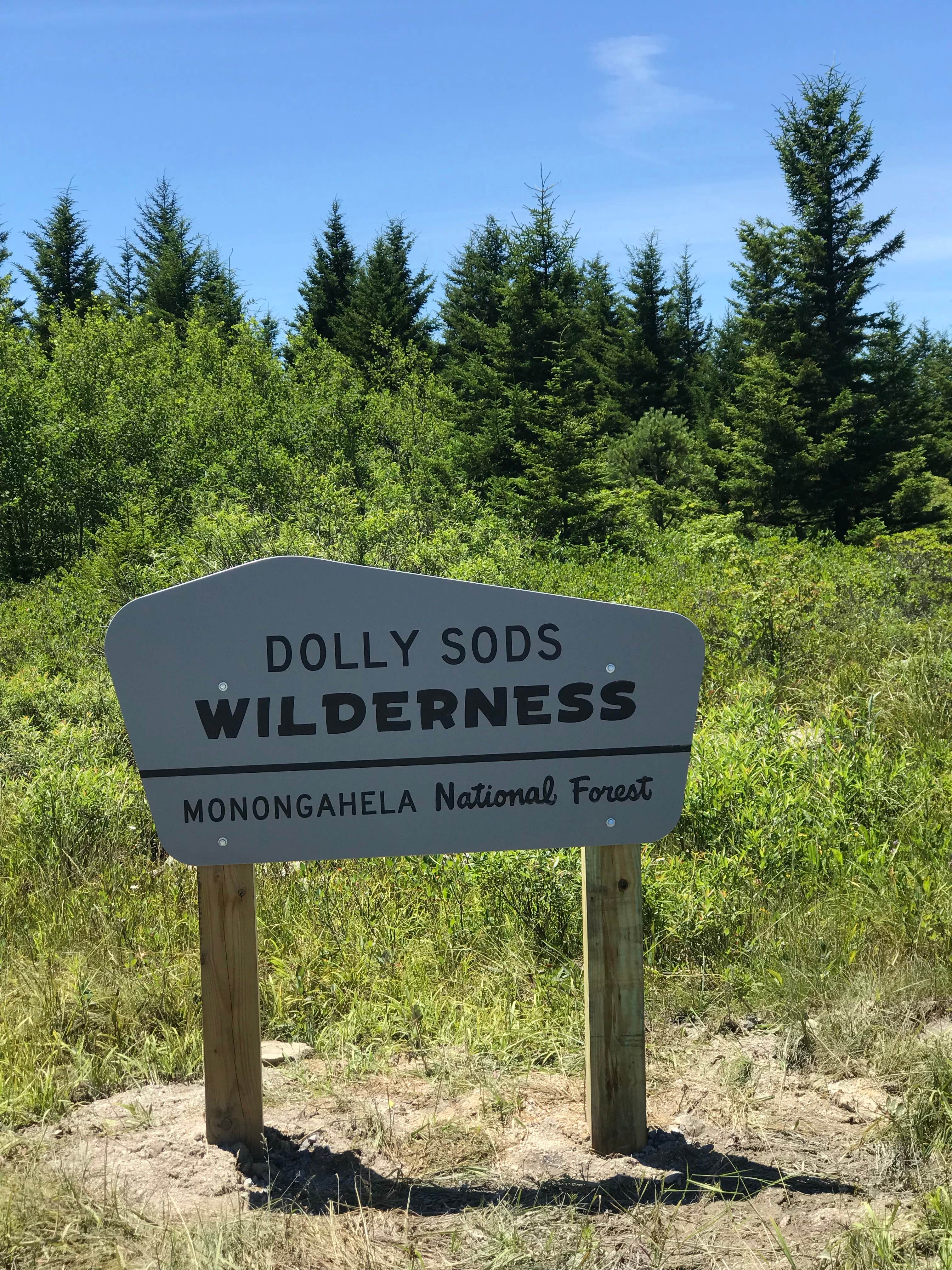 Camper-submitted photo at Brushy Ridge Road Dispersed near Masontown, WV