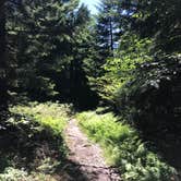 Review photo of Brushy Ridge Road Dispersed by Kelly G., August 29, 2021