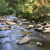 Review photo of Brushy Ridge Road Dispersed by Kelly G., August 29, 2021