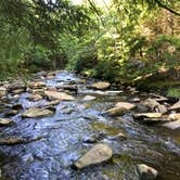 Review photo of Brushy Ridge Road Dispersed by Kelly G., August 29, 2021