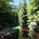 Review photo of Brushy Ridge Road Dispersed by Kelly G., August 29, 2021