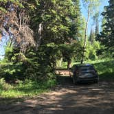 Review photo of Dispersed Camping Willow Spring (Wasatch) by Jenny R., June 21, 2018