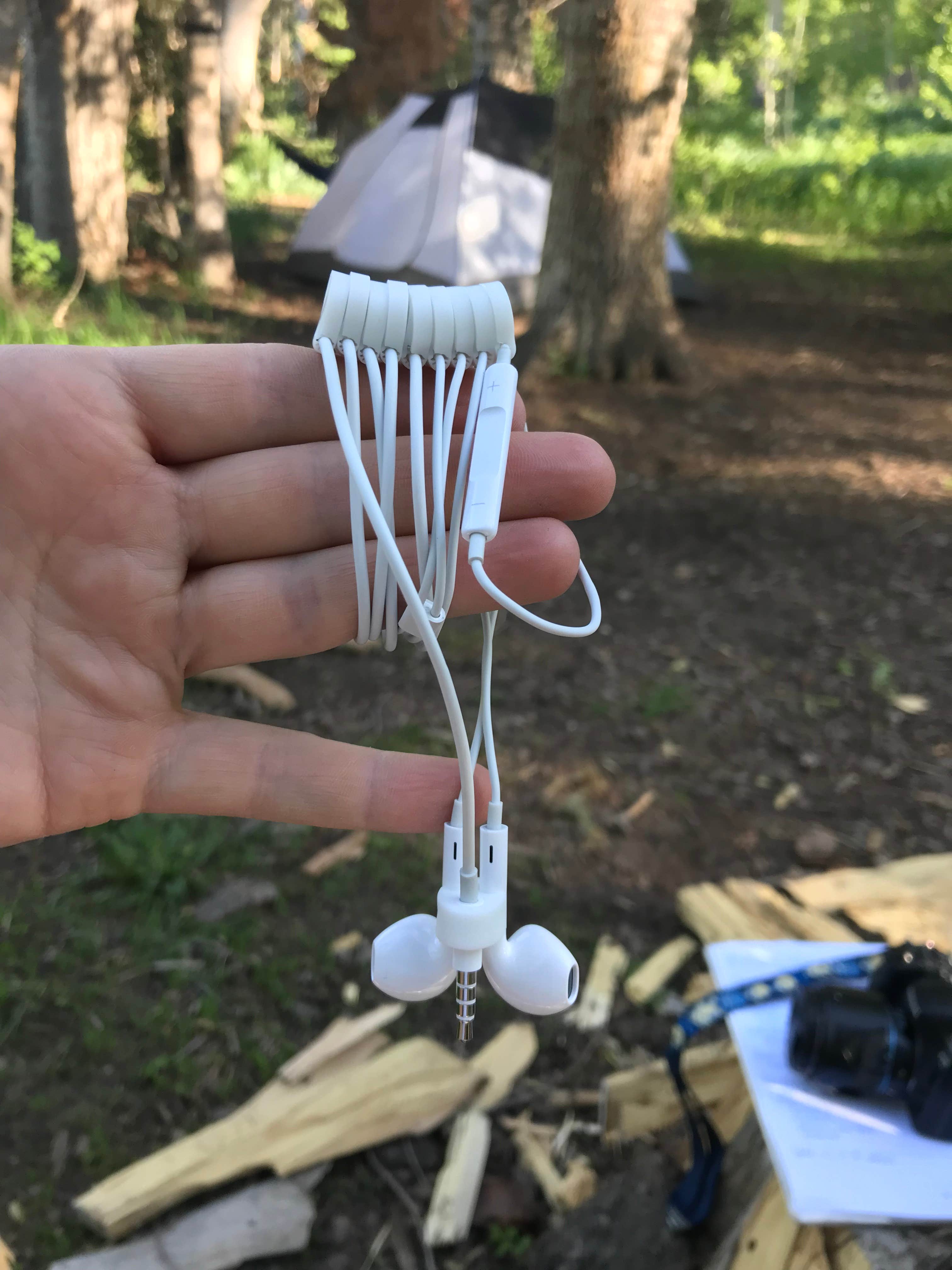 Camper submitted image from Dispersed Camping Willow Spring (Wasatch) - 4