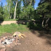 Review photo of Dispersed Camping Willow Spring (Wasatch) by Jenny R., June 21, 2018