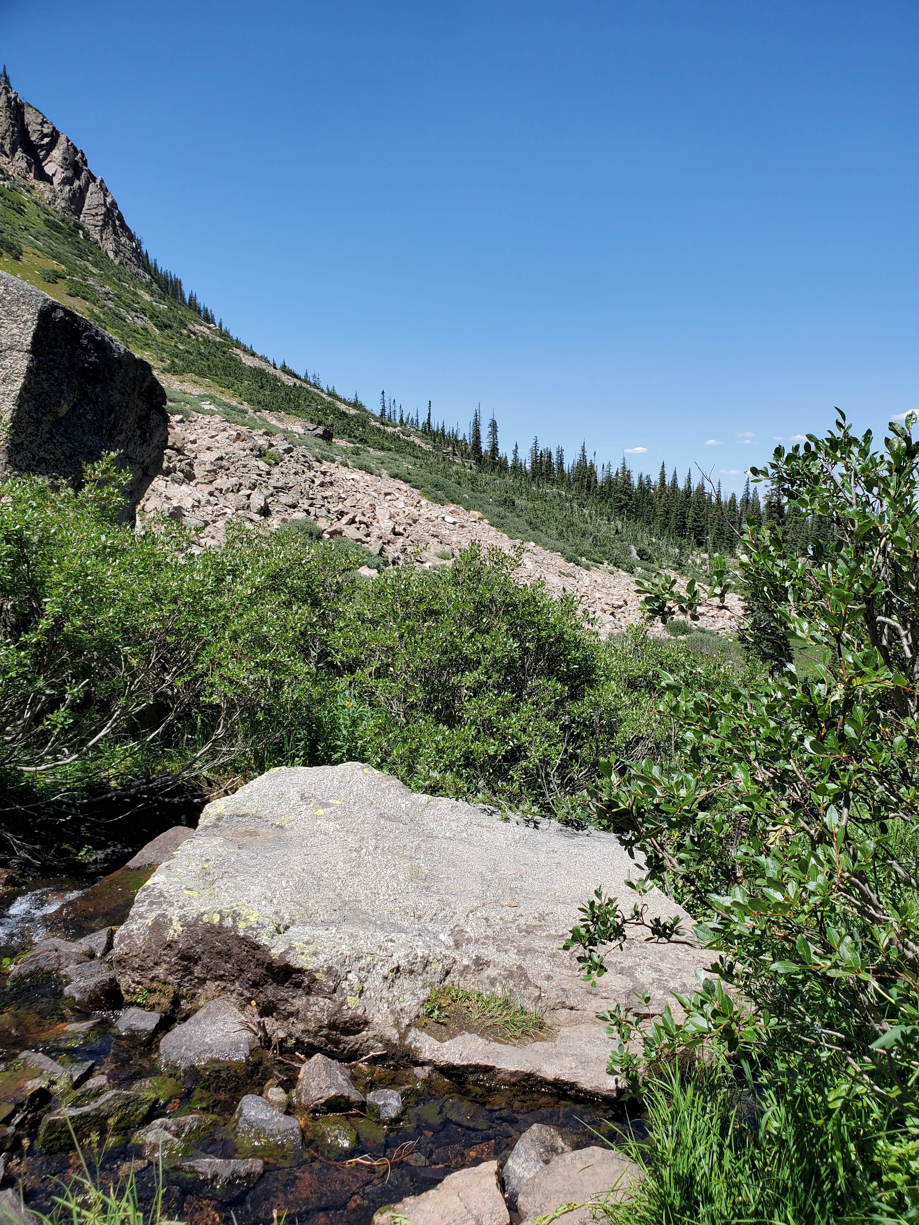 Camper submitted image from Columbine Lake - 1