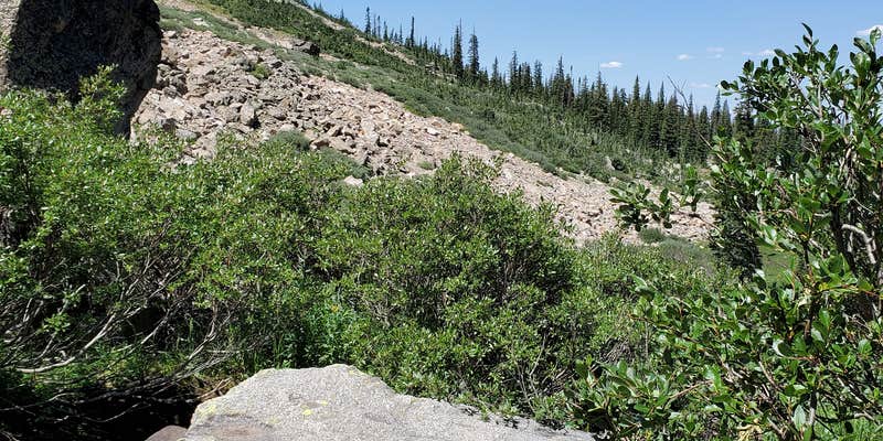 Camper submitted image from Columbine Lake