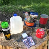 Review photo of Dispersed Camping Willow Spring (Wasatch) by Jenny R., June 21, 2018