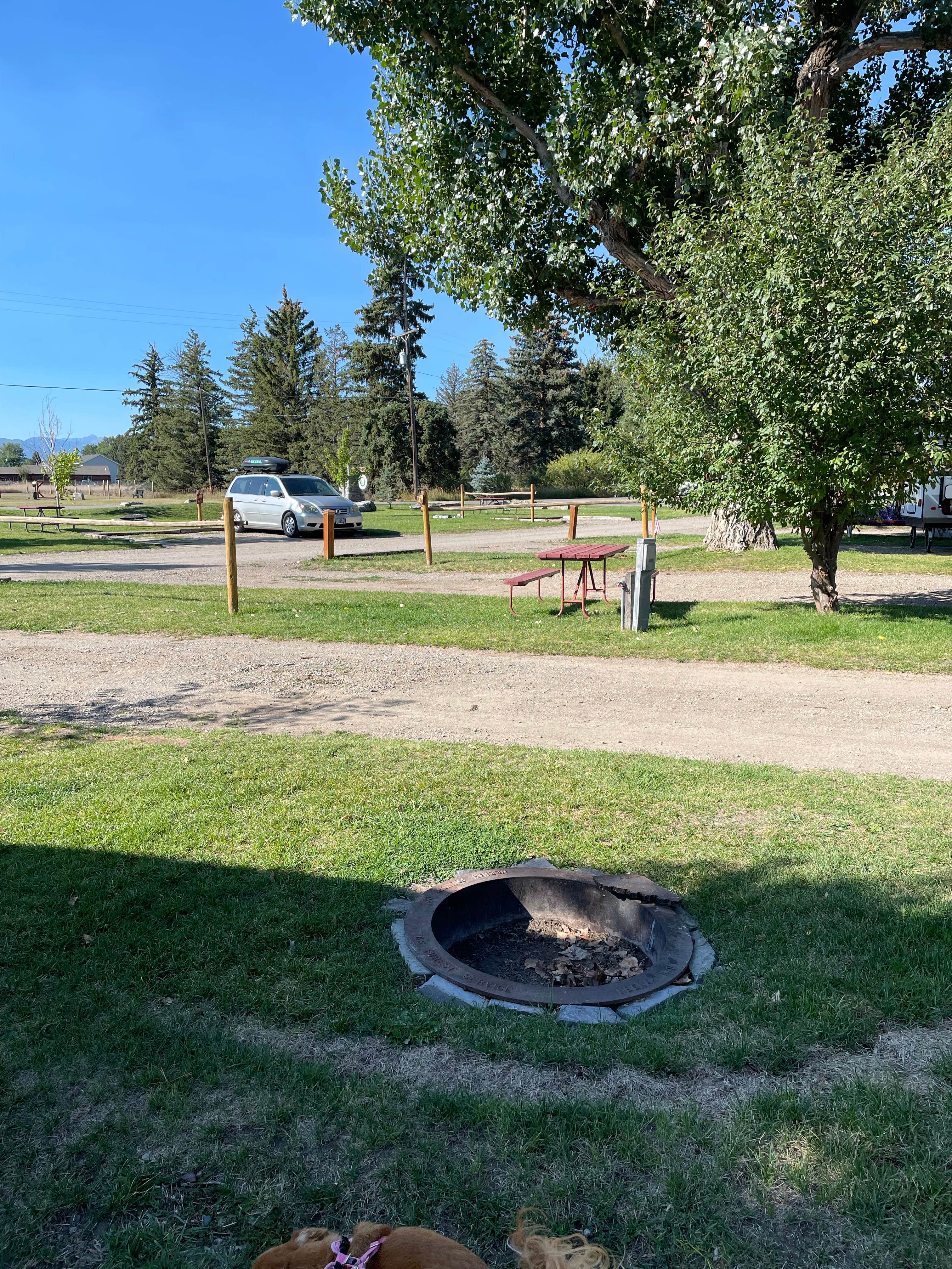 Best camping near Bozeman, Montana The Dyrt