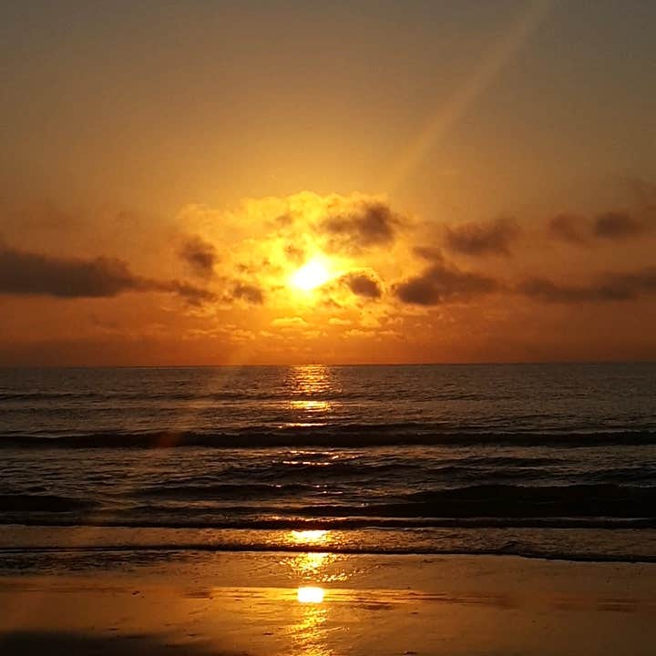 Andrea F.'s photo of a dispersed camping area at North Beach — Padre Island National Seashore near Fulton, TX