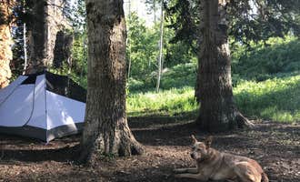 Camping near Mineral Basin Dispersed: Dispersed Camping Willow Spring (Wasatch), Wallsburg, Utah