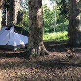 Review photo of Dispersed Camping Willow Spring (Wasatch) by Jenny R., June 21, 2018