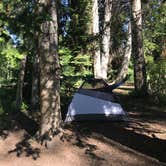 Review photo of Dispersed Camping Willow Spring (Wasatch) by Jenny R., June 21, 2018