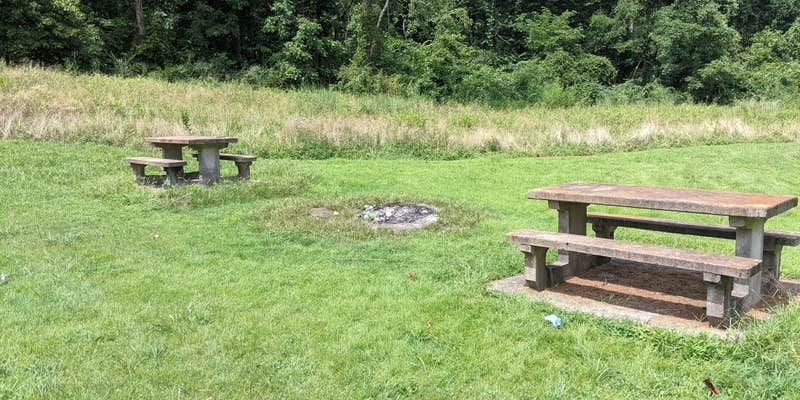 Camper submitted image from Chief Cornstalk Wildlife Management Area