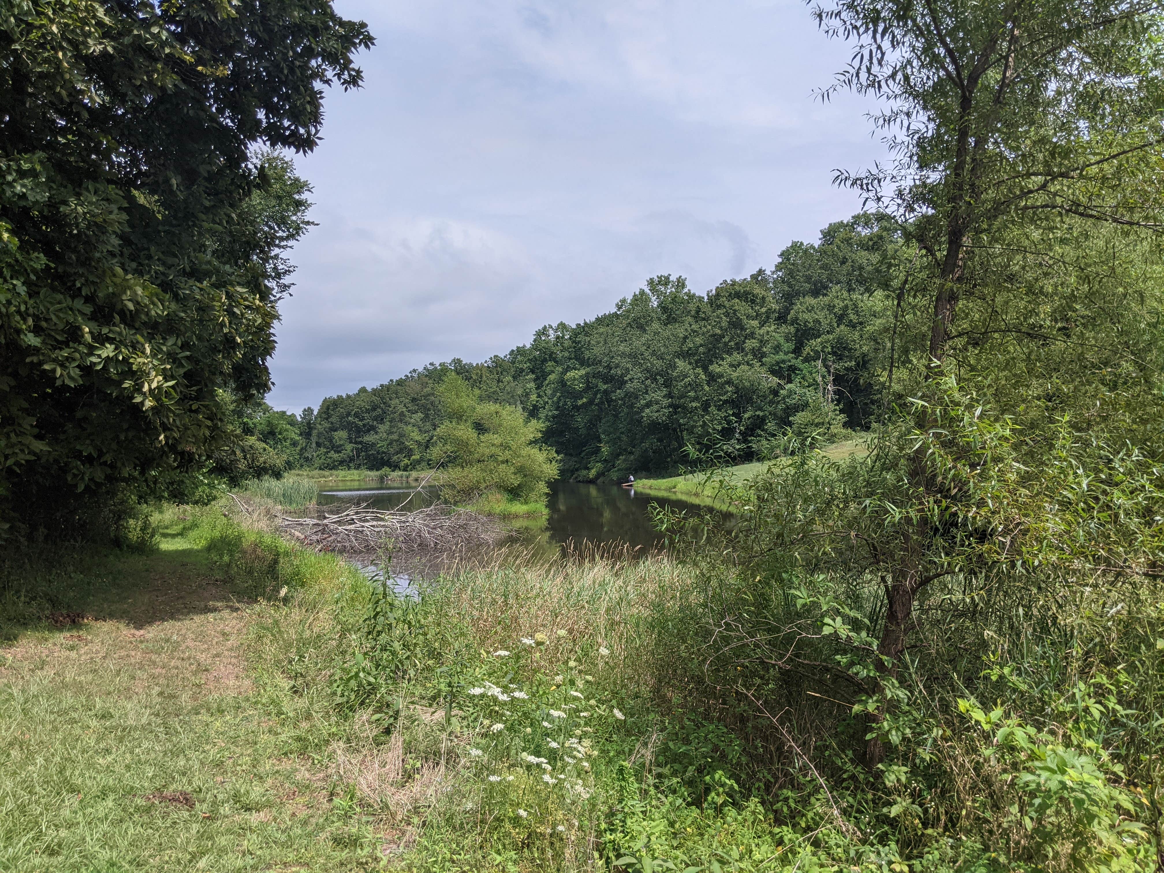 Camper-submitted photo at Chief Cornstalk Wildlife Management Area near Letart, WV