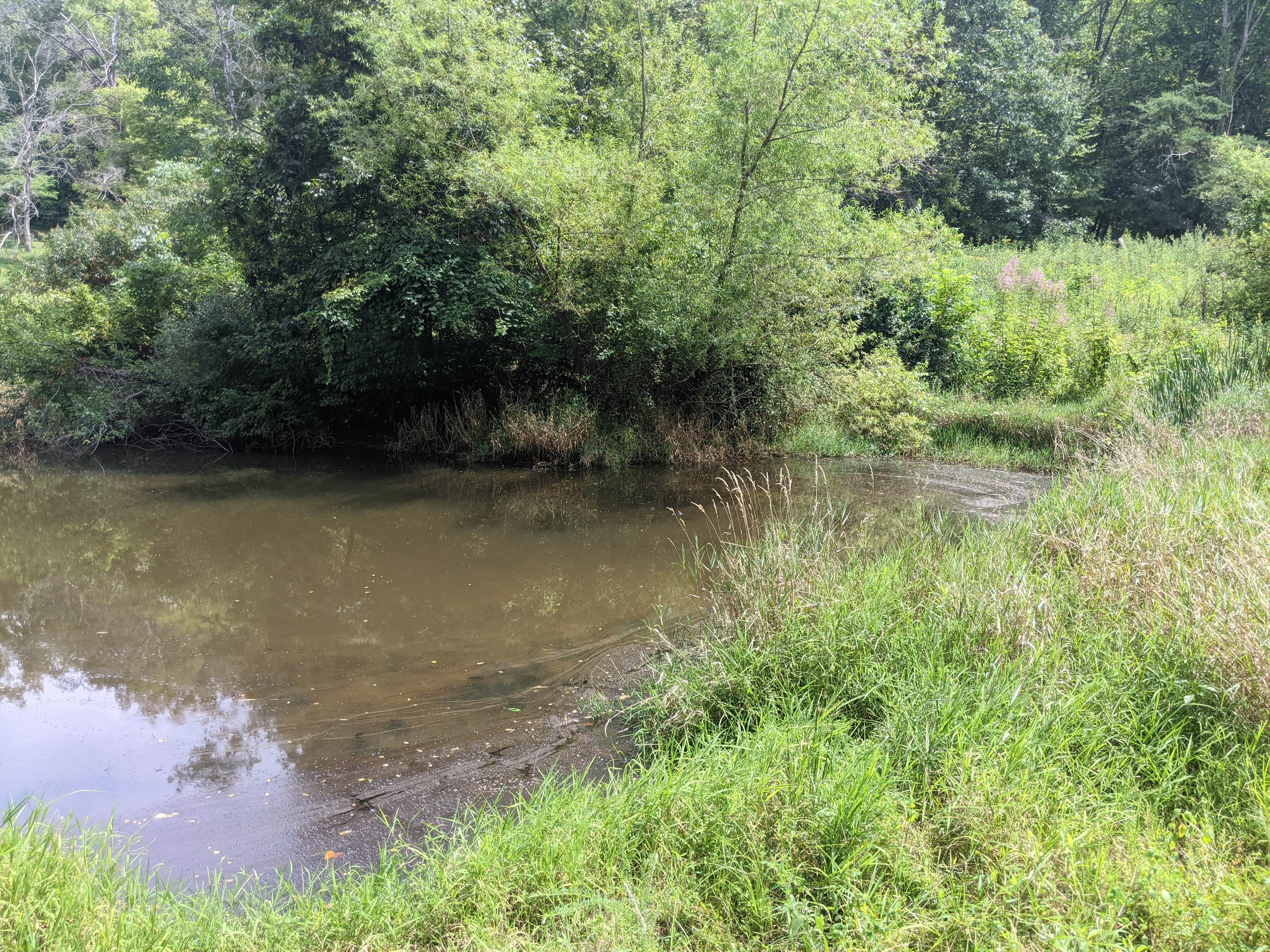 Camper-submitted photo at Chief Cornstalk Wildlife Management Area near Letart, WV