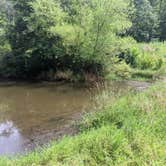 Review photo of Chief Cornstalk Wildlife Management Area by Andrew S., August 29, 2021